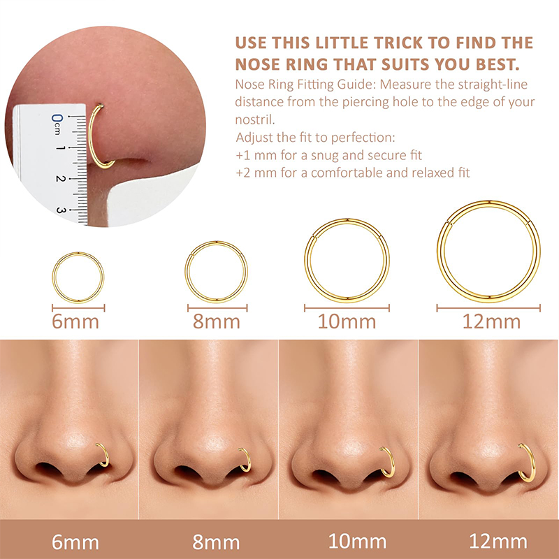 16G 316L Surgical Steel Hinged - огляд і ціна Body Jewelry Nose Studs